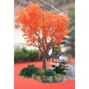 Вјештачко Црвено Јаворско Дрво