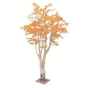 Вјештачка бела књига Бирцх Трее