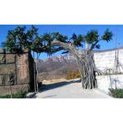 Симулација Анциент Фицус Трее за декорацију врата